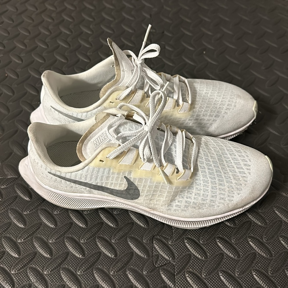 Nike Pegasus